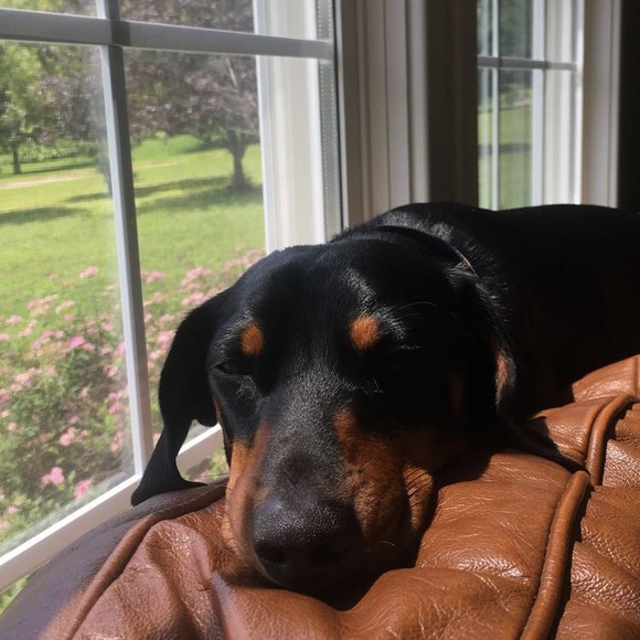 Meet your Posher, Megan - Picture 3 of 7